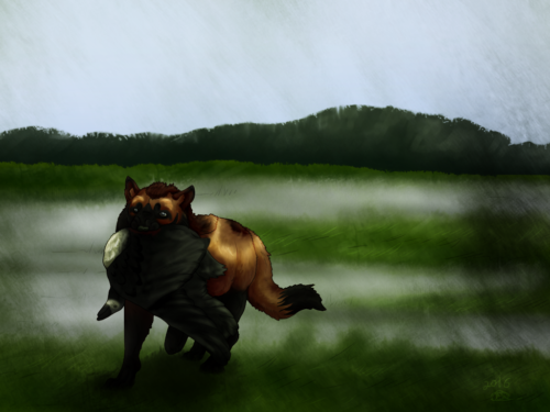 From the Marsh