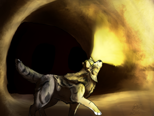  Down Below