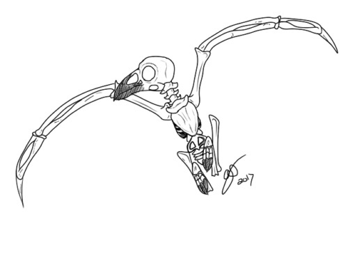 Skeletal Raven Tattoo