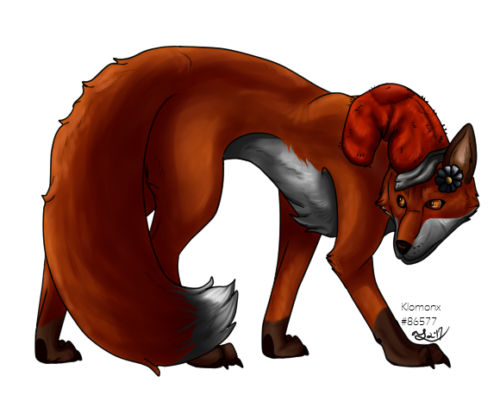 Fox
