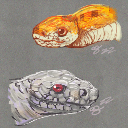 Pet Portrait, 2022