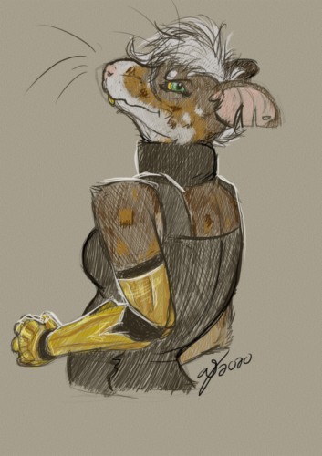 rat rat